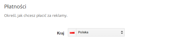 Google AdWords > Kampania > Płatności