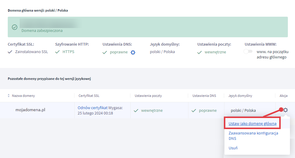Jeśli ustawienia DNS są poprawne, możesz ustawić swoją domenę jako główną w sklepie Panel administracyjny sklepu > Ustawienia > Ogólne > Domeny