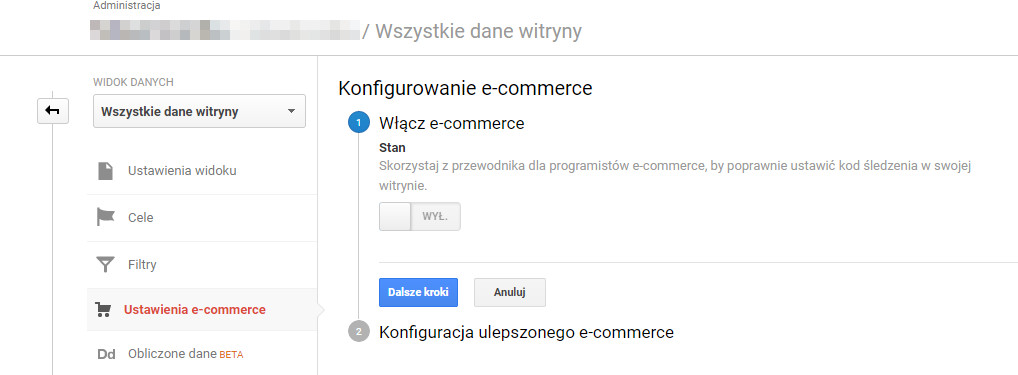 Ustawienia śledzenia e-commerce w Google Analytics dla sklepu internetowego Shoper