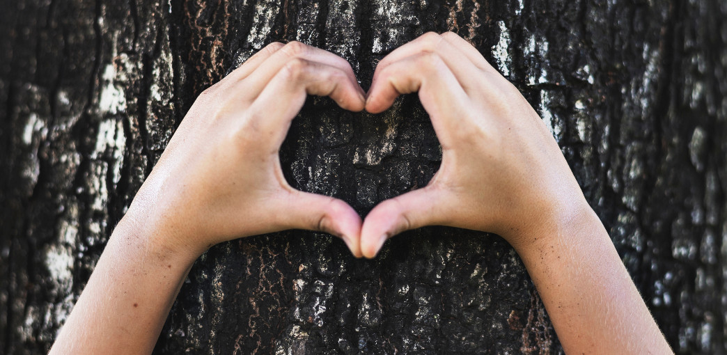 Jak-sprzedawac-ekologiczne-i-naturalne-produkty-w-internecie