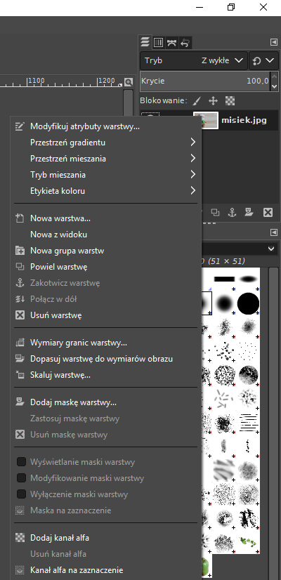 Jak usunąć kanał alfa z wybranego obrazu w programie graficznym GIMP? Usuwanie kanału alfa ze zdjęcia