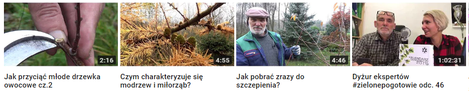Przykładowa zawartość edukacyjna (witamy w ogrodzie) w serwisie YouTube.