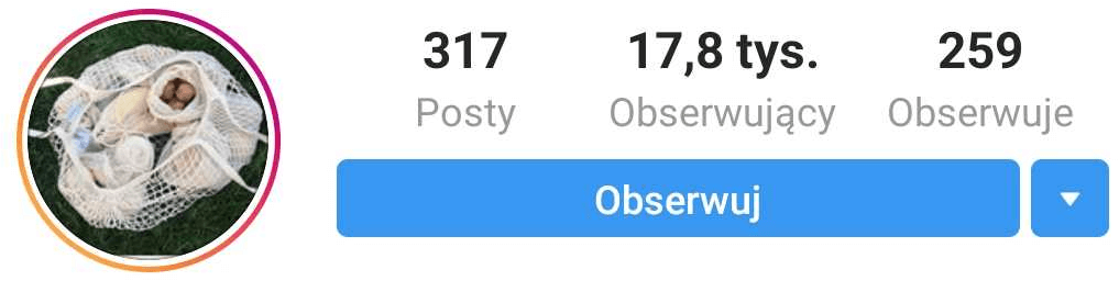 Przykład konta Instagram z dodanym zdjęciem profilowym (popularny produkt)
