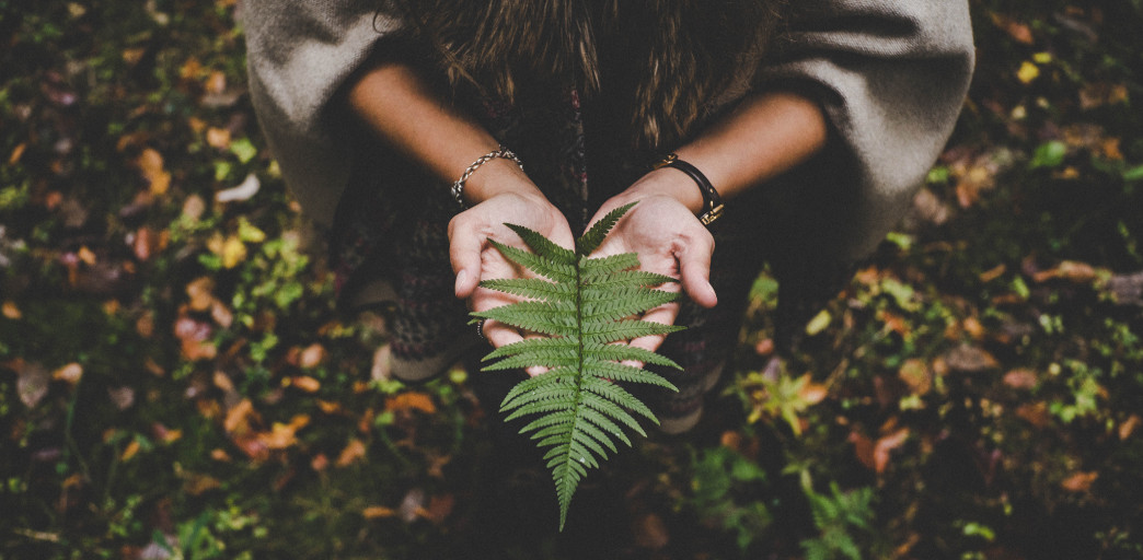 O podejściu zero waste w e-biznesie Jak podejść do kwestii ekologii w sklepie internetowym?