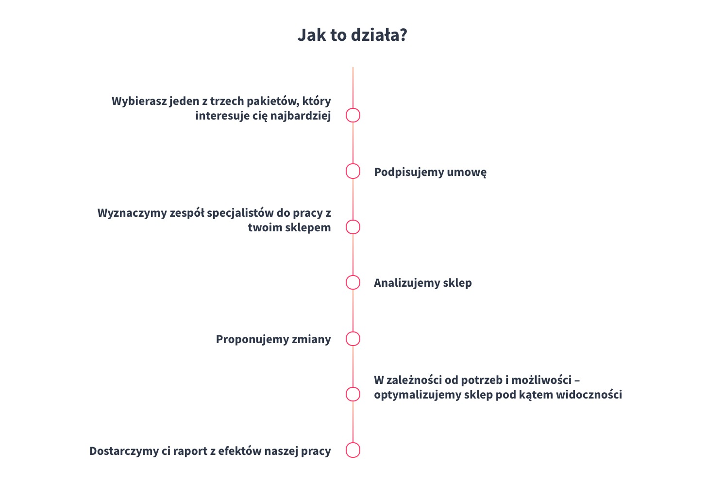 Przebieg audytu SEO w kilku krokach