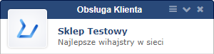 Nazwa i opis firmy wyświetlane w komunikatorze (czat) na stronach sklepu Nazwa i opisy firmy wyświetlane w komunikatorze (czat) na stronach sklepu