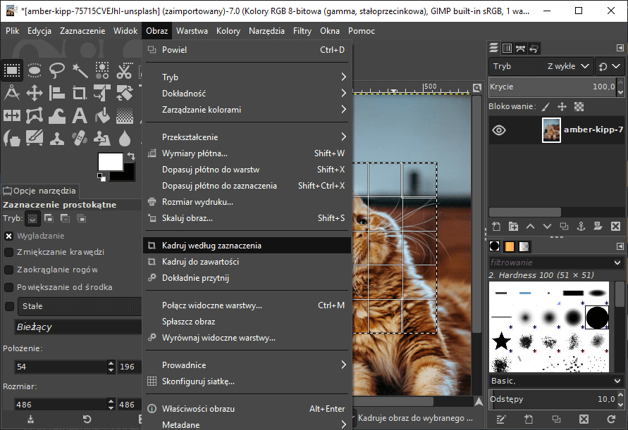 Kadrowanie według zaznaczenia w programie graficznym GIMP