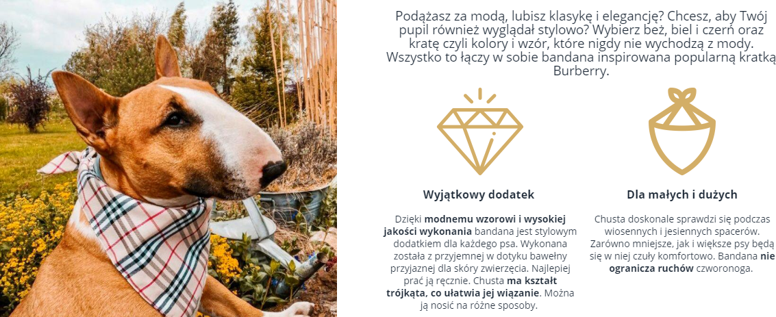 Urozmaicenie wizualne karty produktu. W układzie mobilnym elementy układają się jeden pod drugim