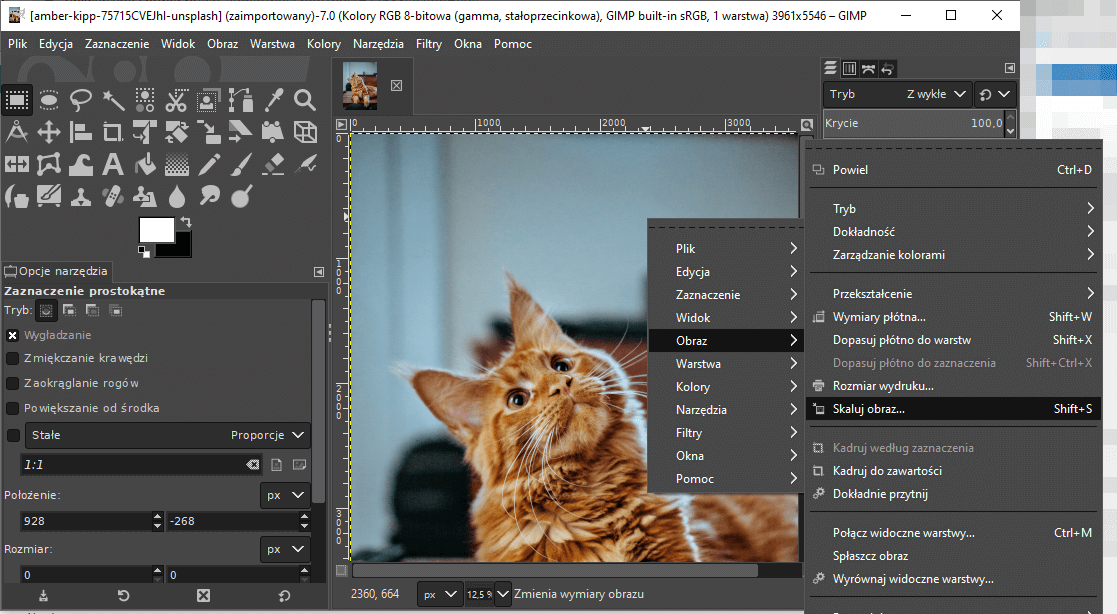 Skalowanie obrazu w programie GIMP