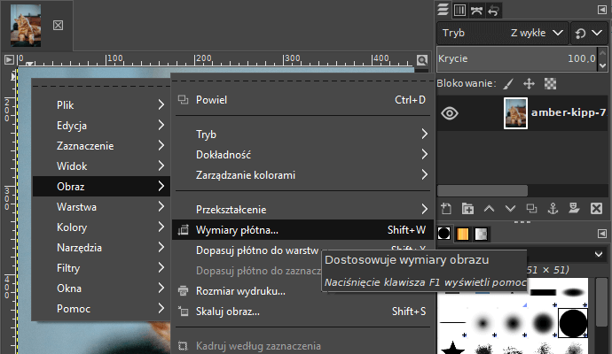 Zmiana wymiarów płótna w programie graficznym GIMP