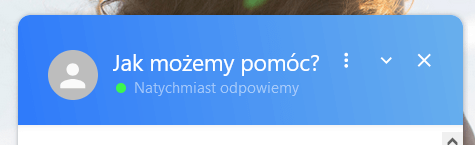 Przykładowe okno czatu z wyświetlonym przewidywanym czasem odpowiedzi. Przykład okienka czatu online z przewidywanym czasem odpowiedzi