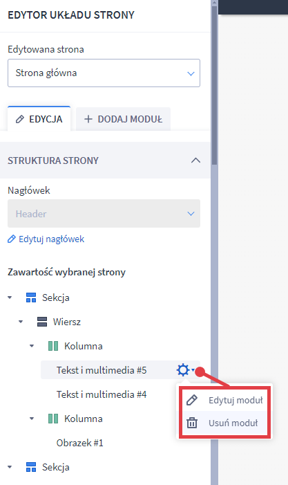 Po kliknięciu na koło zębate przy module, wyświetlone zostaną opcje edycji oraz usunięcia modułu Struktura strony oraz edycja modułów w Shoper Storefront