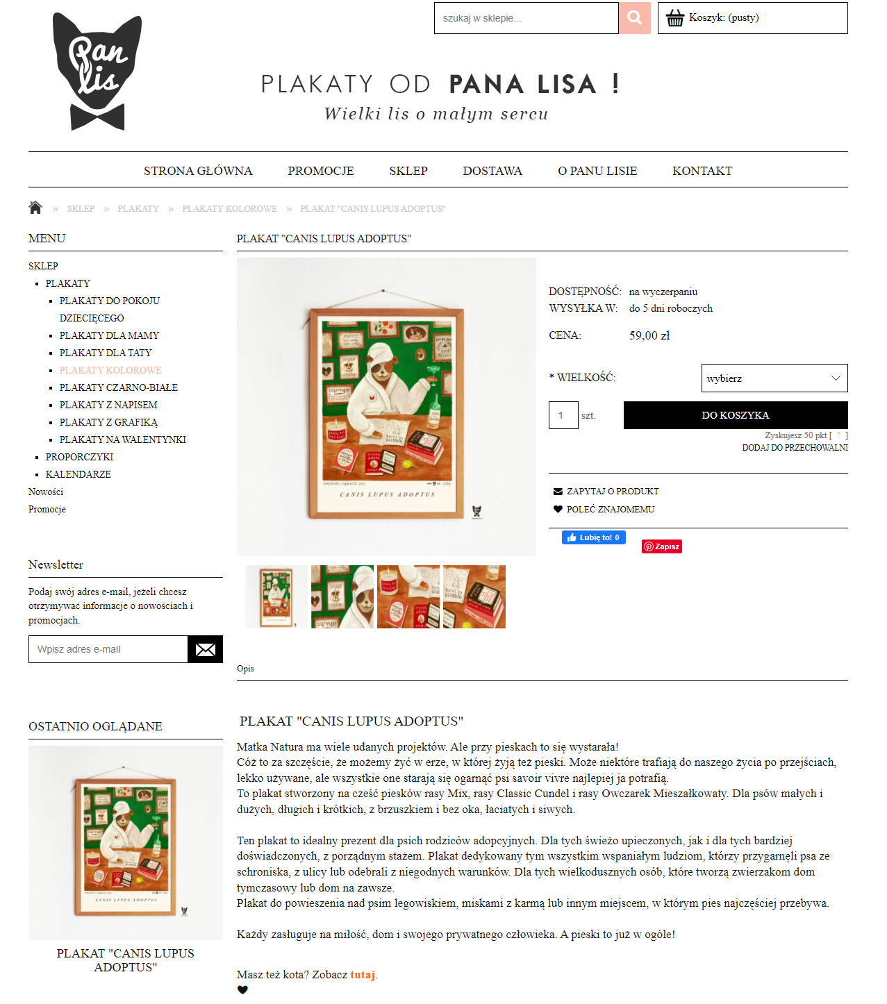 Przykładowa karta produktu w sklepie Pan Lis Zastosowanie języka korzyści w opisie produktu