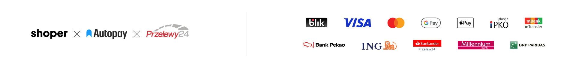 Baner Shoper Płatności Autopay i Przelewy24 z kartami płatniczymi