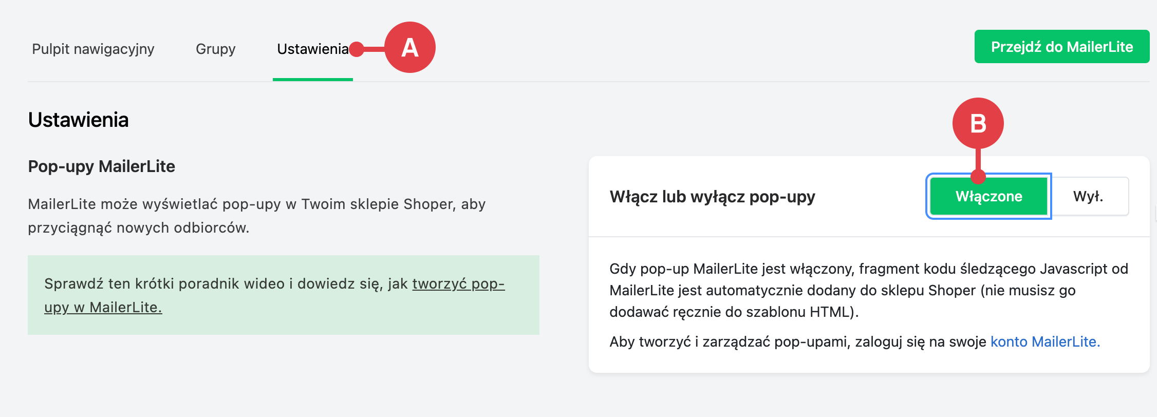Włącz pop-upy w ustawieniach W ustawieniach aplikacji MailerLite w panelu Shoper włącz wyświetlanie okien pop-up